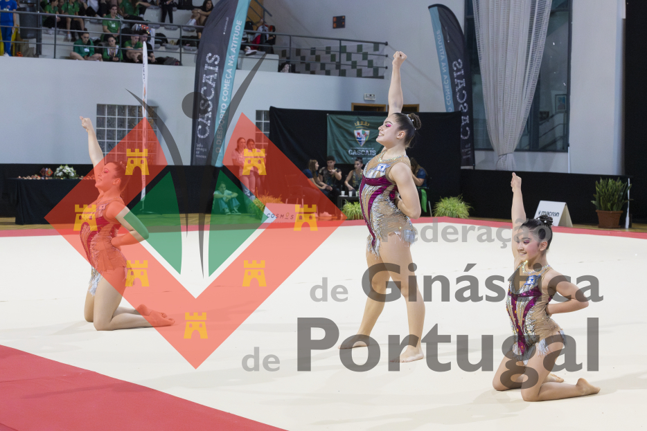 2425_Campeonato Nacional 1ª Div - ACRO